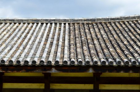 Gangoji, roof of zenshitsu-1 photo