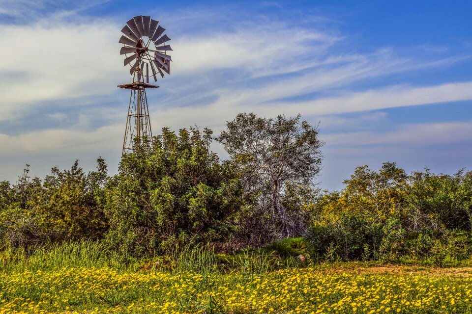 Landscape nature spring
