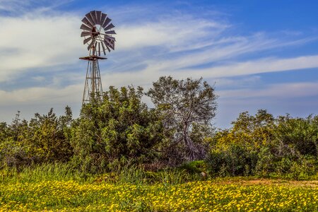 Landscape nature spring