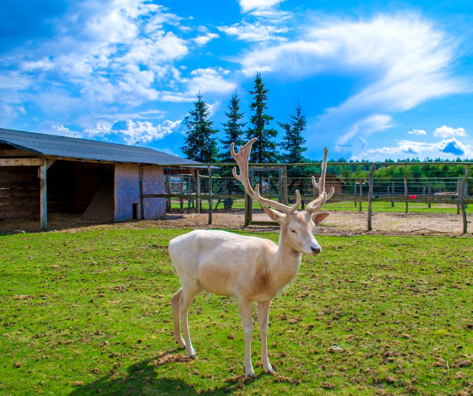 Summer tourism nature