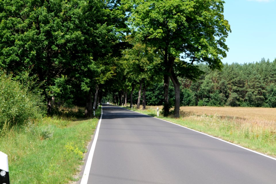 Garzauer Chaussee Strausberg 2020-08-05 01