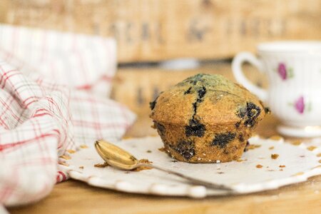 Blueberry muffin dessert food photo