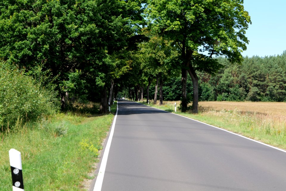 Garzauer Chaussee Strausberg 2020-08-05 02