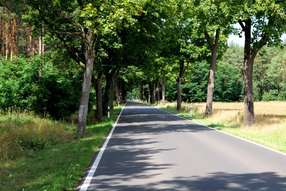 Garzauer Chaussee Strausberg 2020-08-05 03