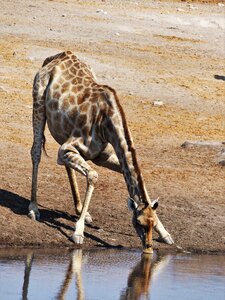 Yoga water hole water
