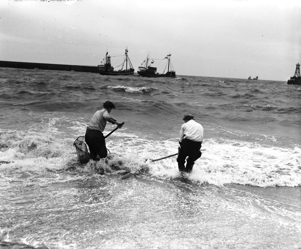 Garnalenvissers op strand, in de achtergrond de haringvloot, Bestanddeelnr 909-5683