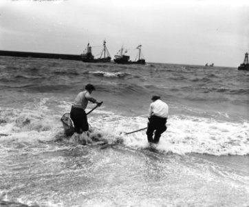Garnalenvissers op strand, in de achtergrond de haringvloot, Bestanddeelnr 909-5683