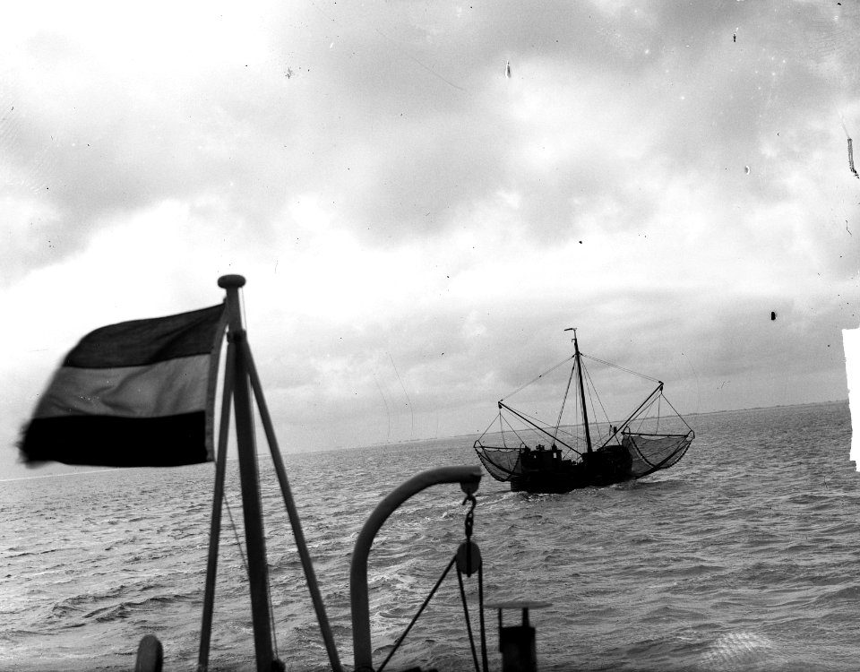 Garnalenvisser in Waddenzee, Bestanddeelnr 903-3373