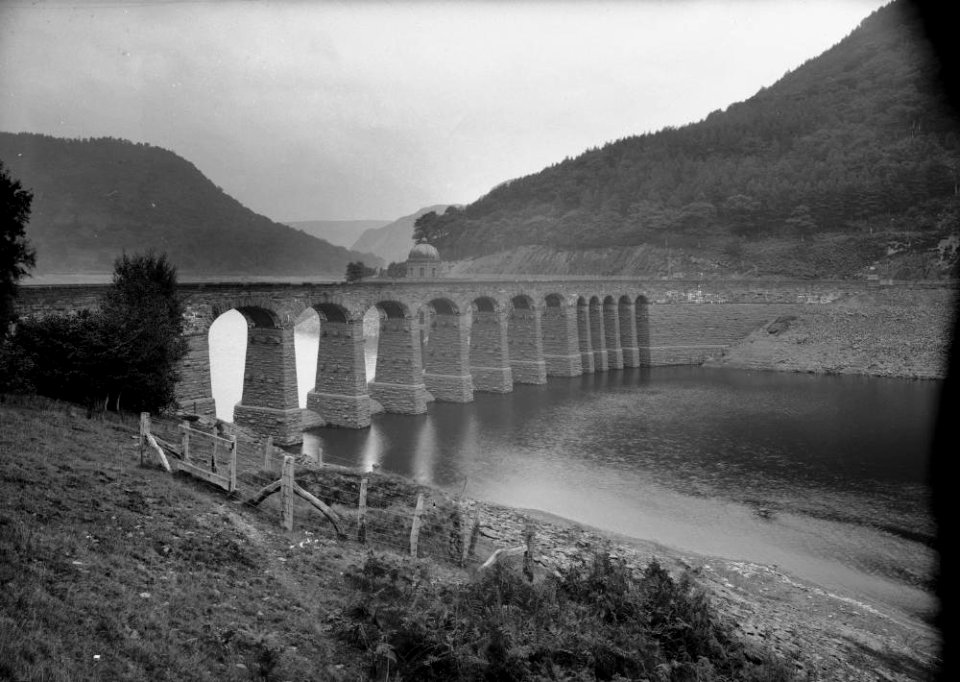 Garreg Ddu reservoir (1294011)