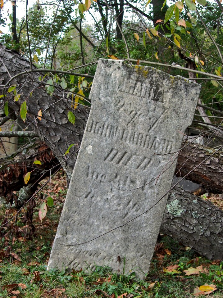 Garrard (Maria), Bethany Cemetery, 2015-10-09, 01
