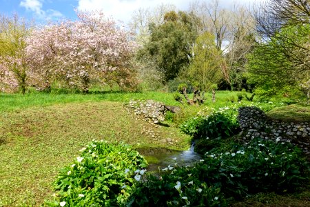 Garden scene - Giardino di Ninfa, Italy - DSC03007