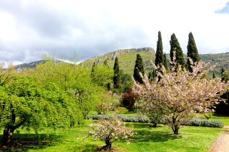 Garden scene - Giardino di Ninfa, Italy - DSC02995