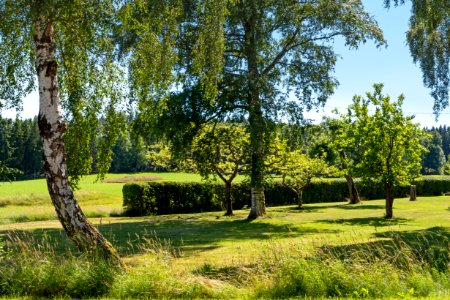 Garden in Alsbäck