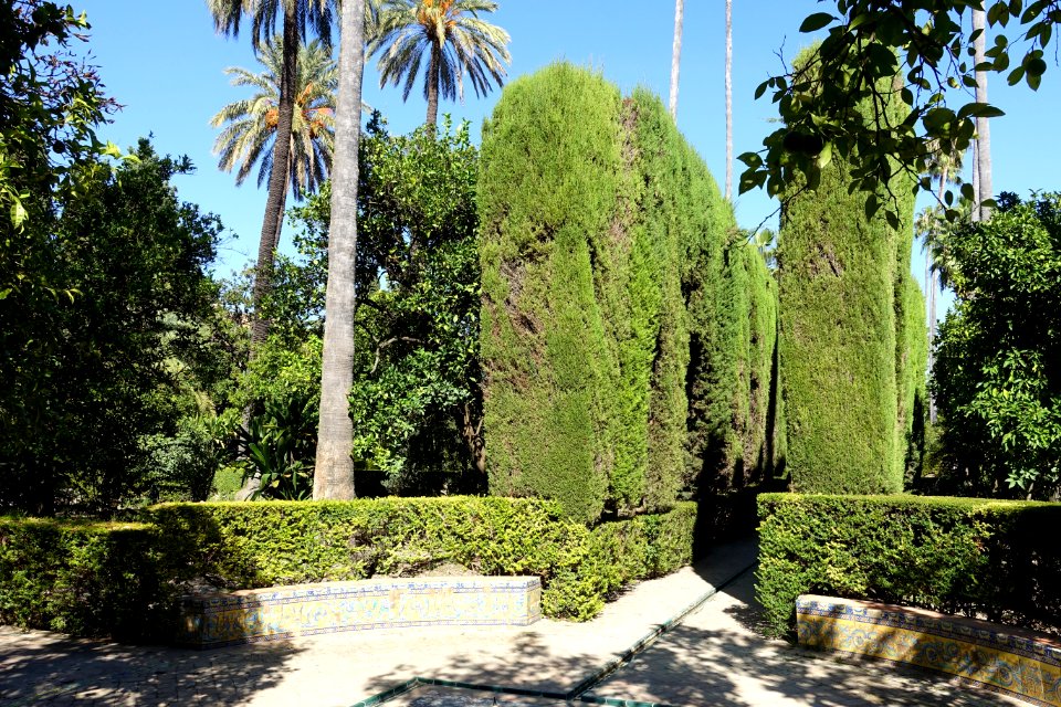 Garden of Dance - Alcázar of Seville, Spain - DSC07517