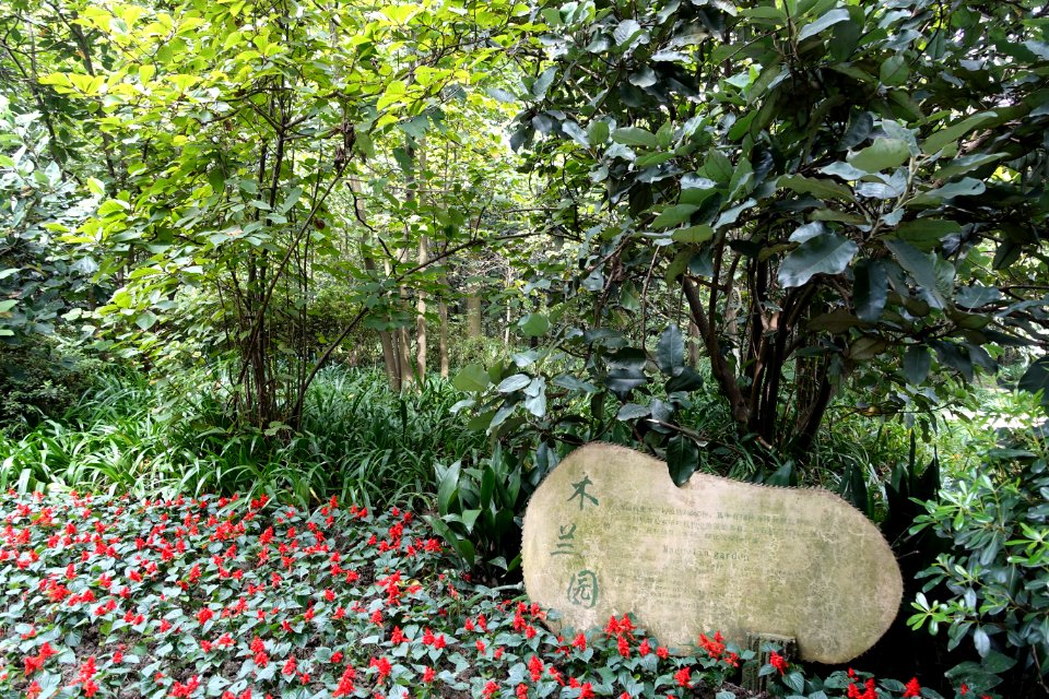 Garden marker - Chengdu Botanical Garden - Chengdu, China - DSC03281