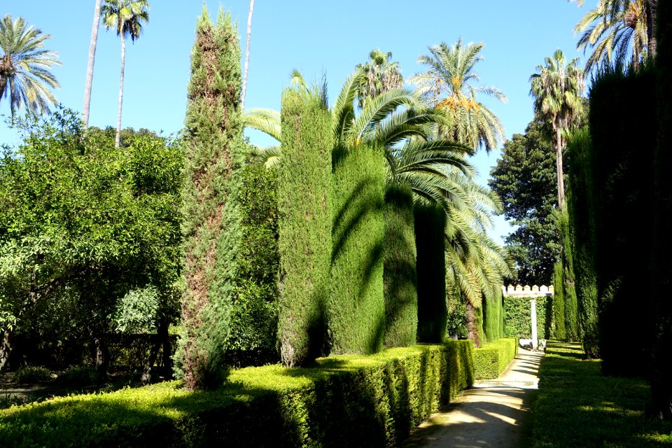 Garden of Dance - Alcázar of Seville, Spain - DSC07513