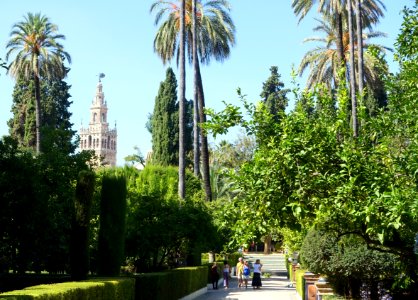 Garden of Dance - Alcázar of Seville, Spain - DSC07510