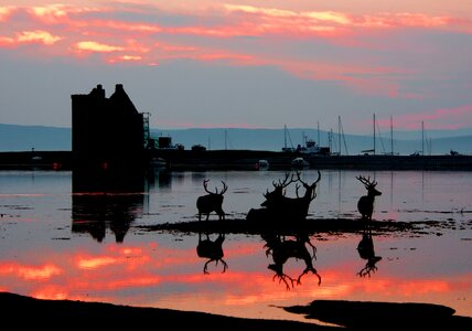 Reflected scotland water