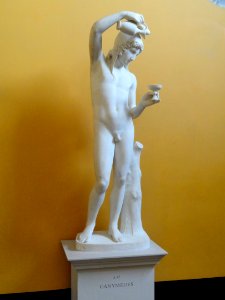 Ganymede Filling the Cup - Thorvaldsens Museum - DSC08654