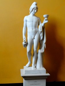 Ganymede Offering the Cup - Thorvaldsens Museum - DSC08655