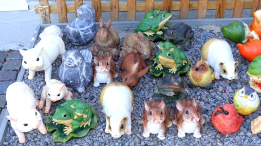 Garden creatures - Karlskrona, Sweden - DSC08542