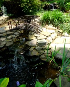 Garden pond with waterfalls and bridge and fish