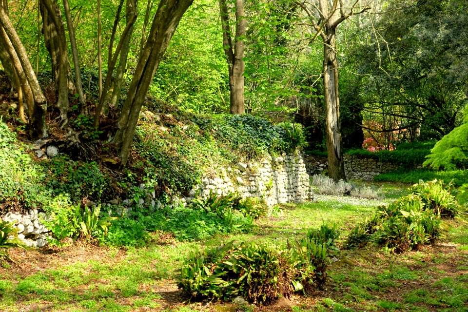Garden scene - Giardino di Ninfa, Italy - DSC03043