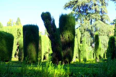 Garden scene - Alcázar of Seville, Spain - DSC07527