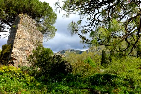 Garden scene - Giardino di Ninfa, Italy - DSC03003