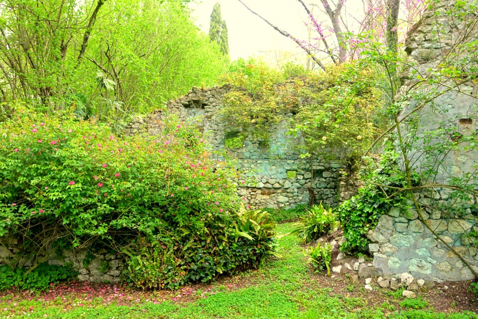 Garden scene - Giardino di Ninfa, Italy - DSC03089