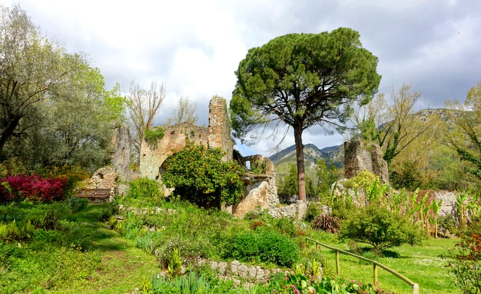 Garden scene - Giardino di Ninfa, Italy - DSC02991