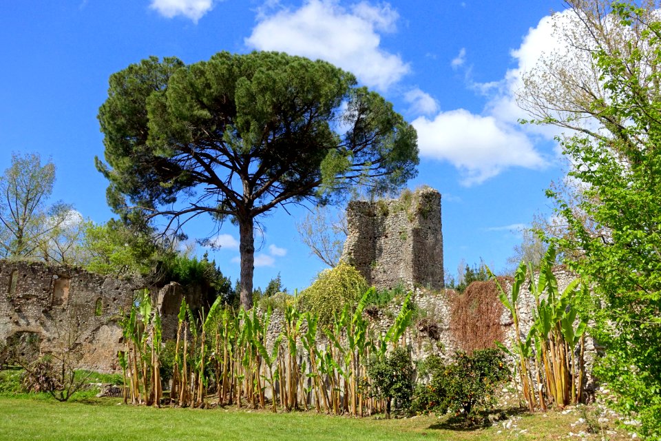 Garden scene - Giardino di Ninfa, Italy - DSC02975