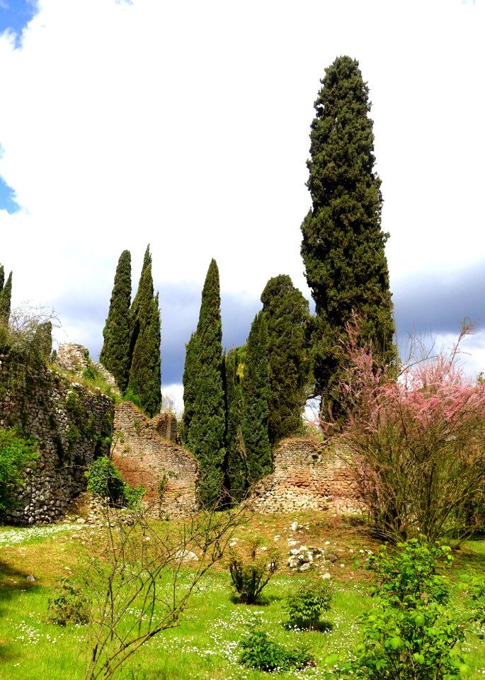 Garden scene - Giardino di Ninfa, Italy - DSC03032
