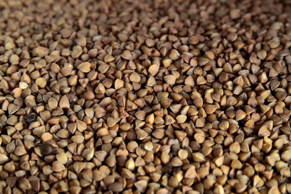 Diet dietary nutrition food
