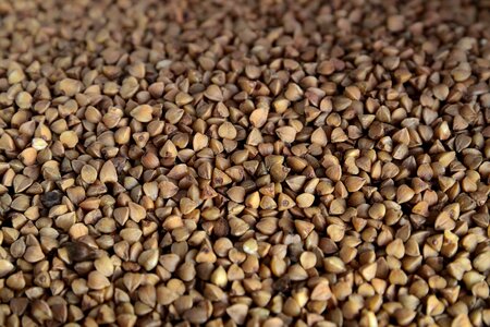 Diet dietary nutrition food