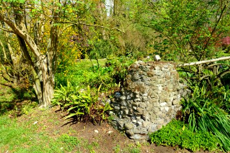 Garden scene - Giardino di Ninfa, Italy - DSC02908