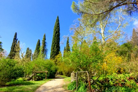 Garden scene - Giardino di Ninfa, Italy - DSC02904