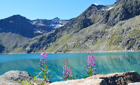 Alpine water austria photo