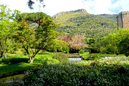 Garden scene - Giardino di Ninfa, Italy - DSC02896
