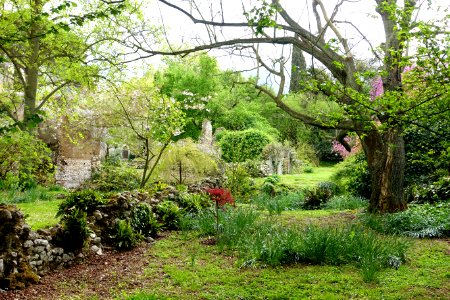Garden scene - Giardino di Ninfa, Italy - DSC03098