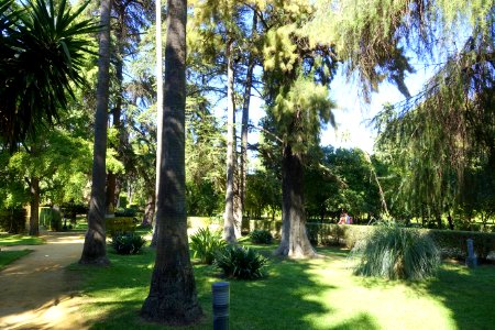 Garden scene - Alcázar of Seville, Spain - DSC07525