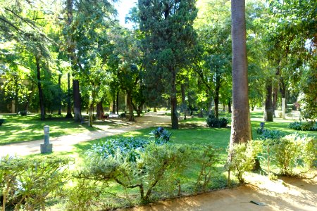 Garden scene - Alcázar of Seville, Spain - DSC07532