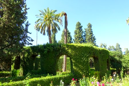 Garden scene - Alcázar of Seville, Spain - DSC07521