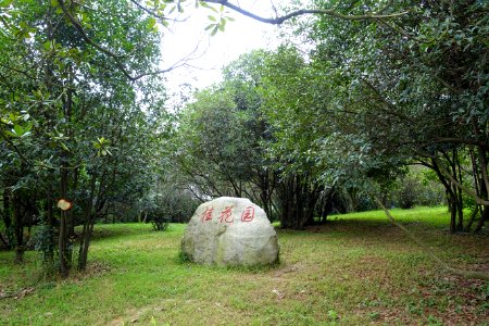 Garden marker - Chengdu Botanical Garden - Chengdu, China - DSC03443