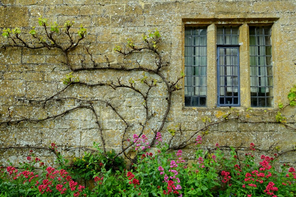 Garden detail - Snowshill Manor - Gloucestershire, England - DSC09636