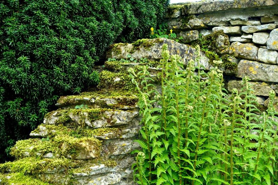 Garden detail - Snowshill Manor - Gloucestershire, England - DSC09634