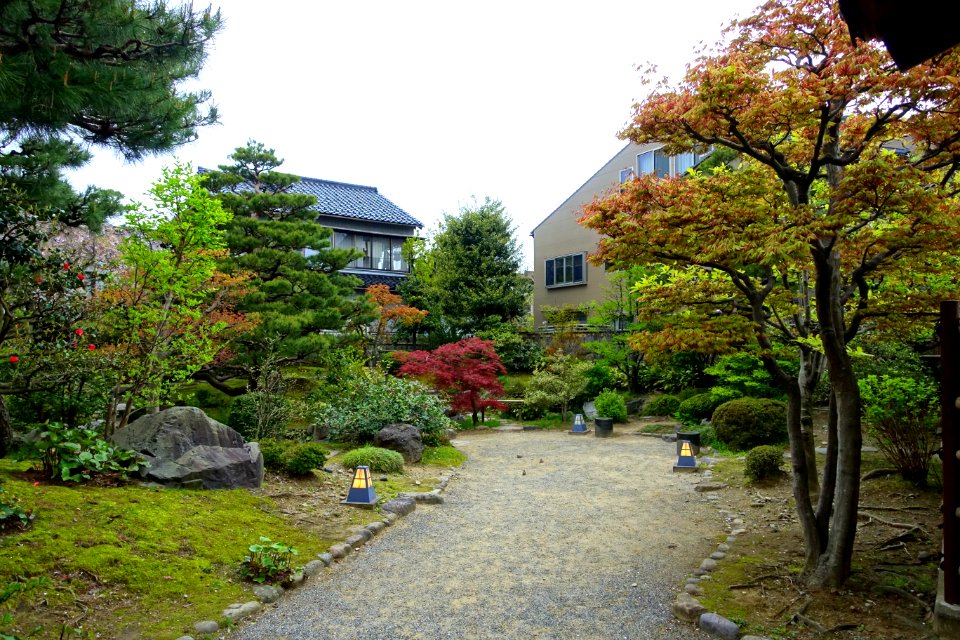Garden - Takada Family Residence - Kanazawa, Japan - DSC00521