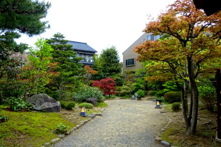 Garden - Takada Family Residence - Kanazawa, Japan - DSC00521
