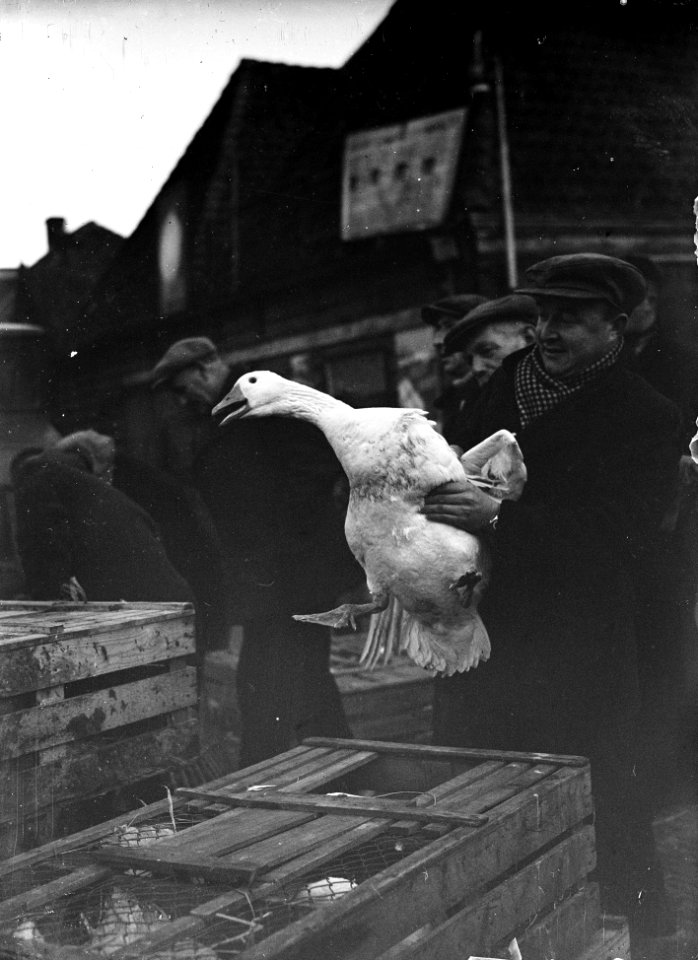 Ganzenmarkt Purmerend, Bestanddeelnr 934-6729