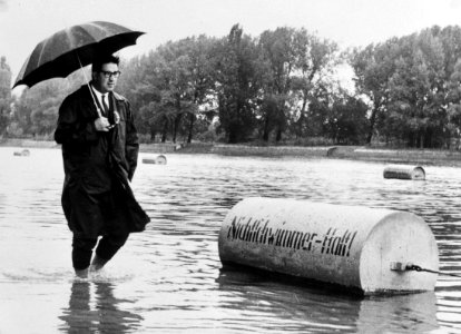 Gansehaufel van Wenen droogt uit, Bestanddeelnr 916-7643 (cropped)